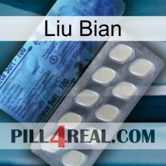 Liu Bian 34